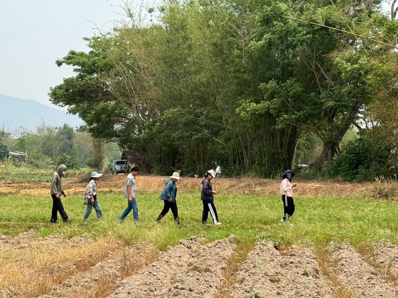 ภาพประกอบที่ 7