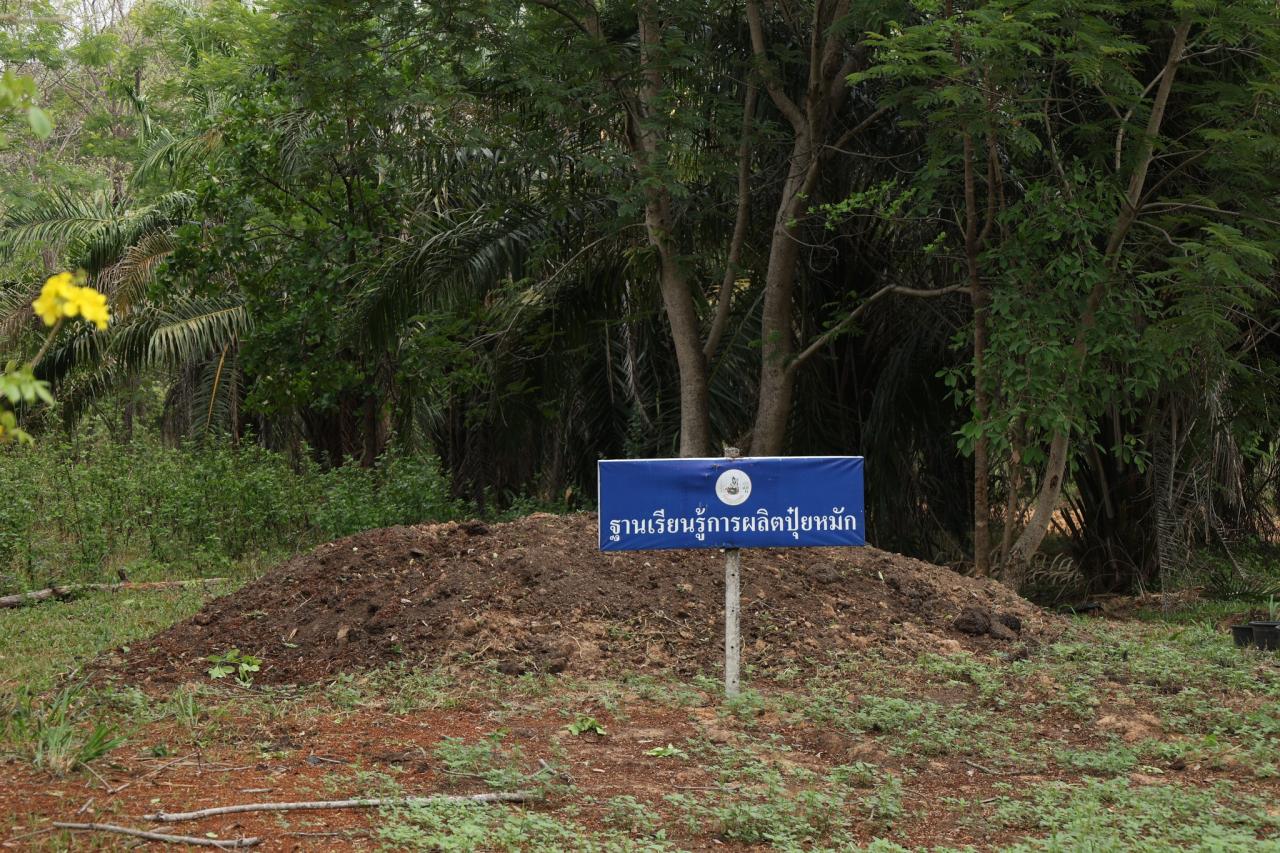ภาพประกอบที่ 7