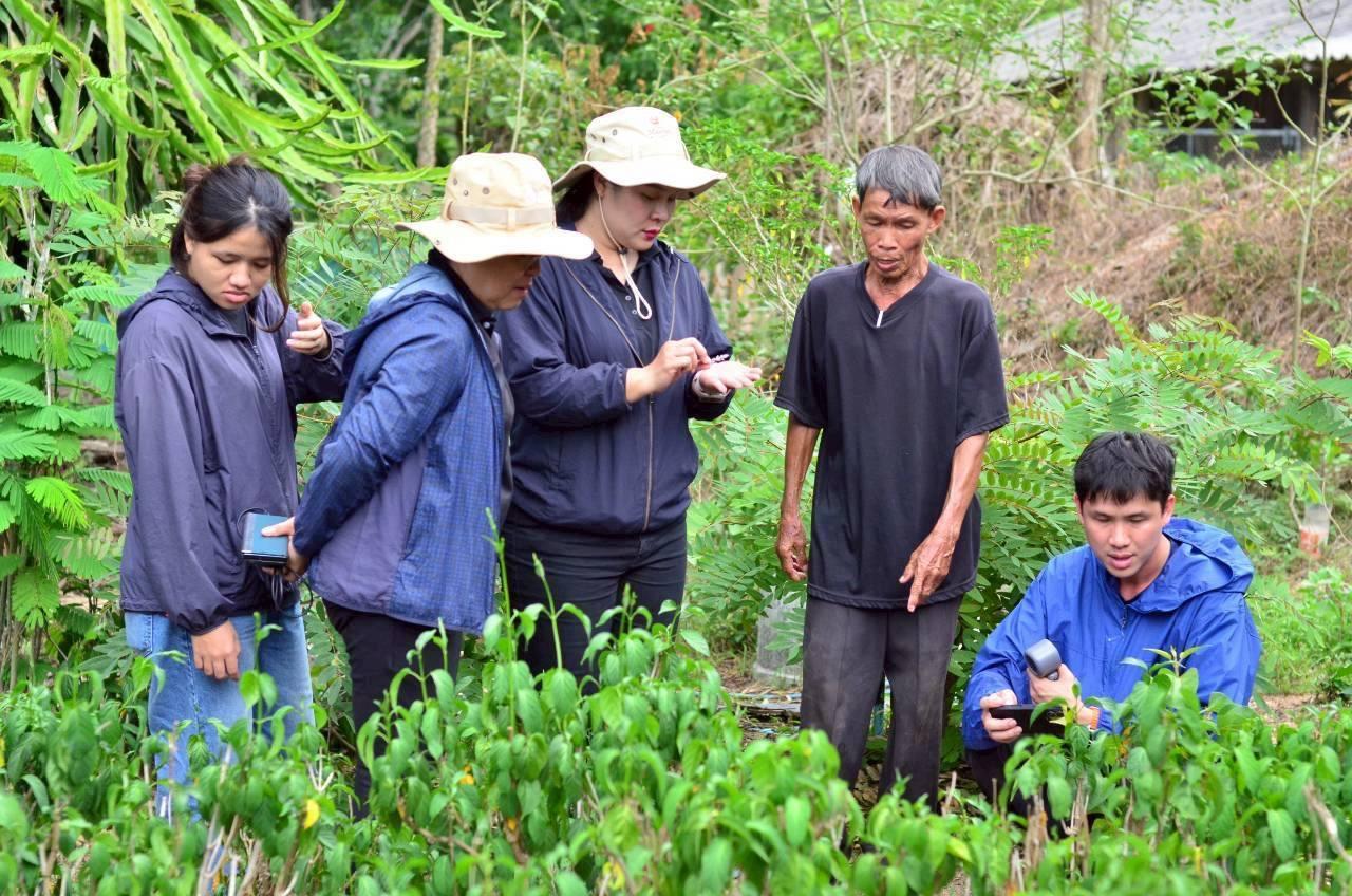 ภาพประกอบที่ 12