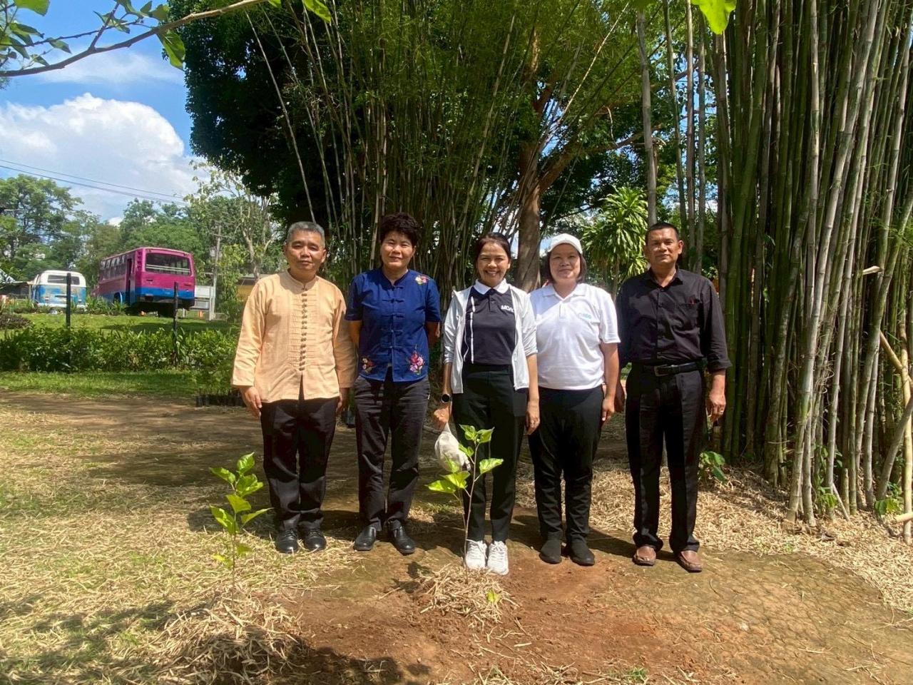 ภาพประกอบที่ 1
