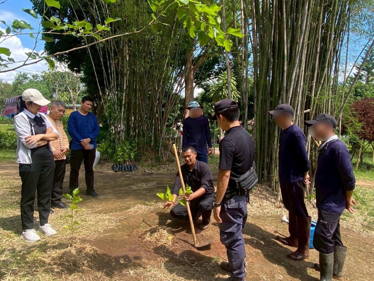ภาพประกอบที่ 2