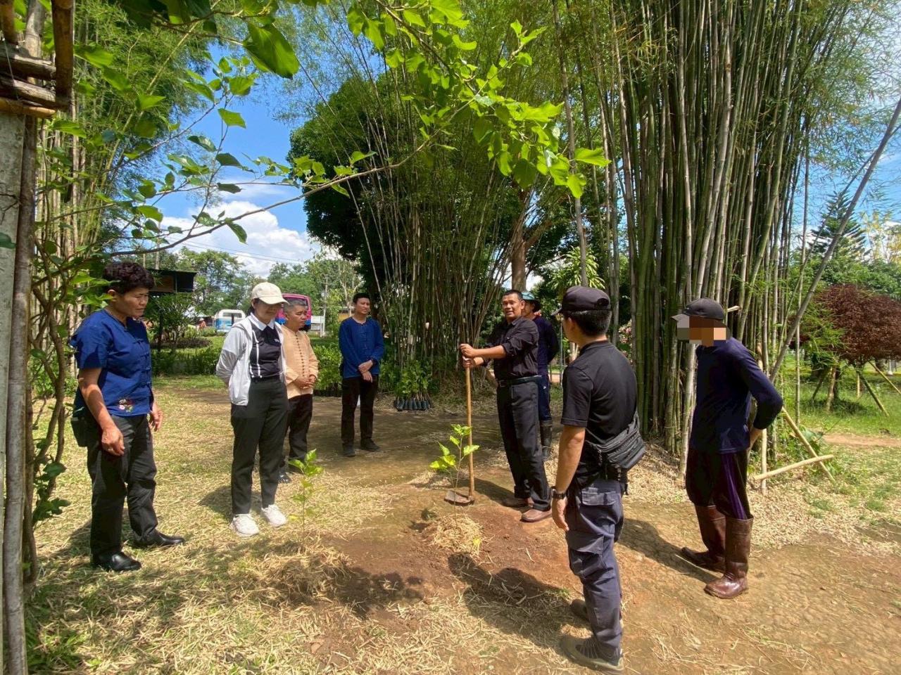 ภาพประกอบที่ 3