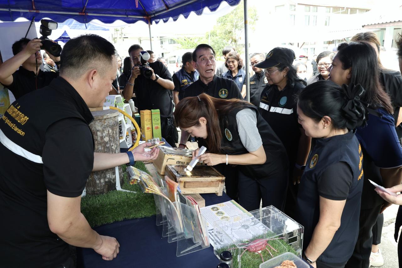 ภาพประกอบที่ 20