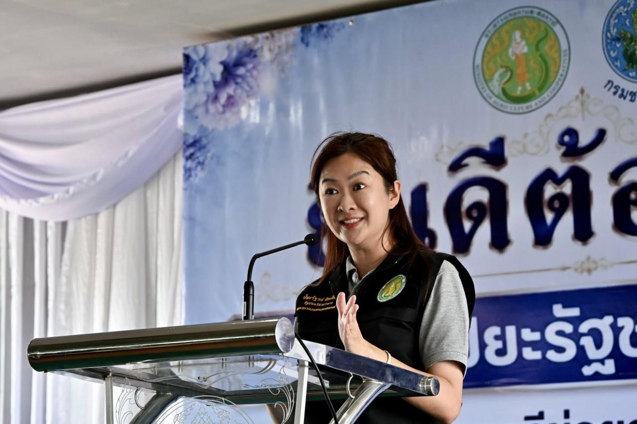 ภาพประกอบที่ 17