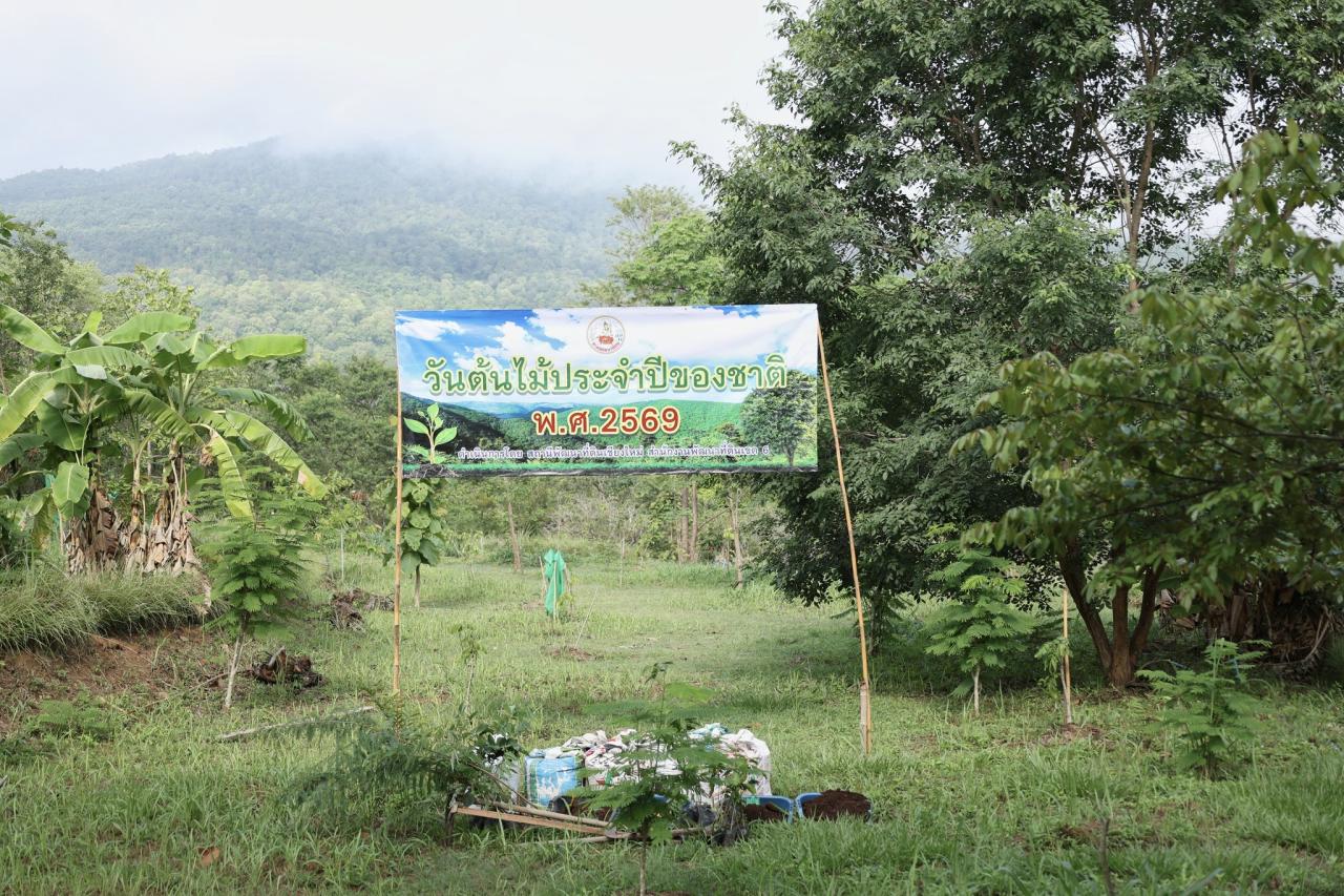 ภาพประกอบที่ 3