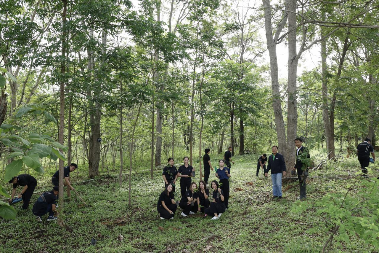 ภาพประกอบที่ 7