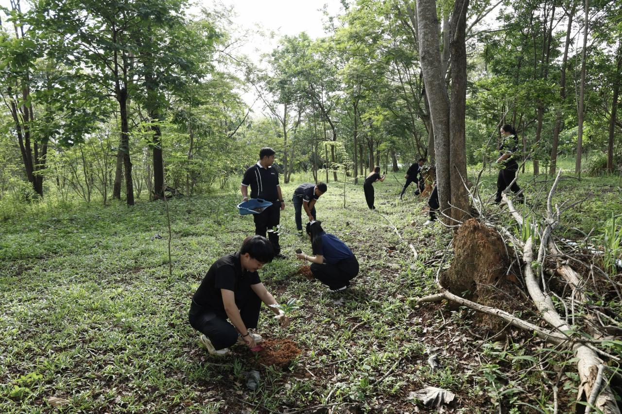 ภาพประกอบที่ 8