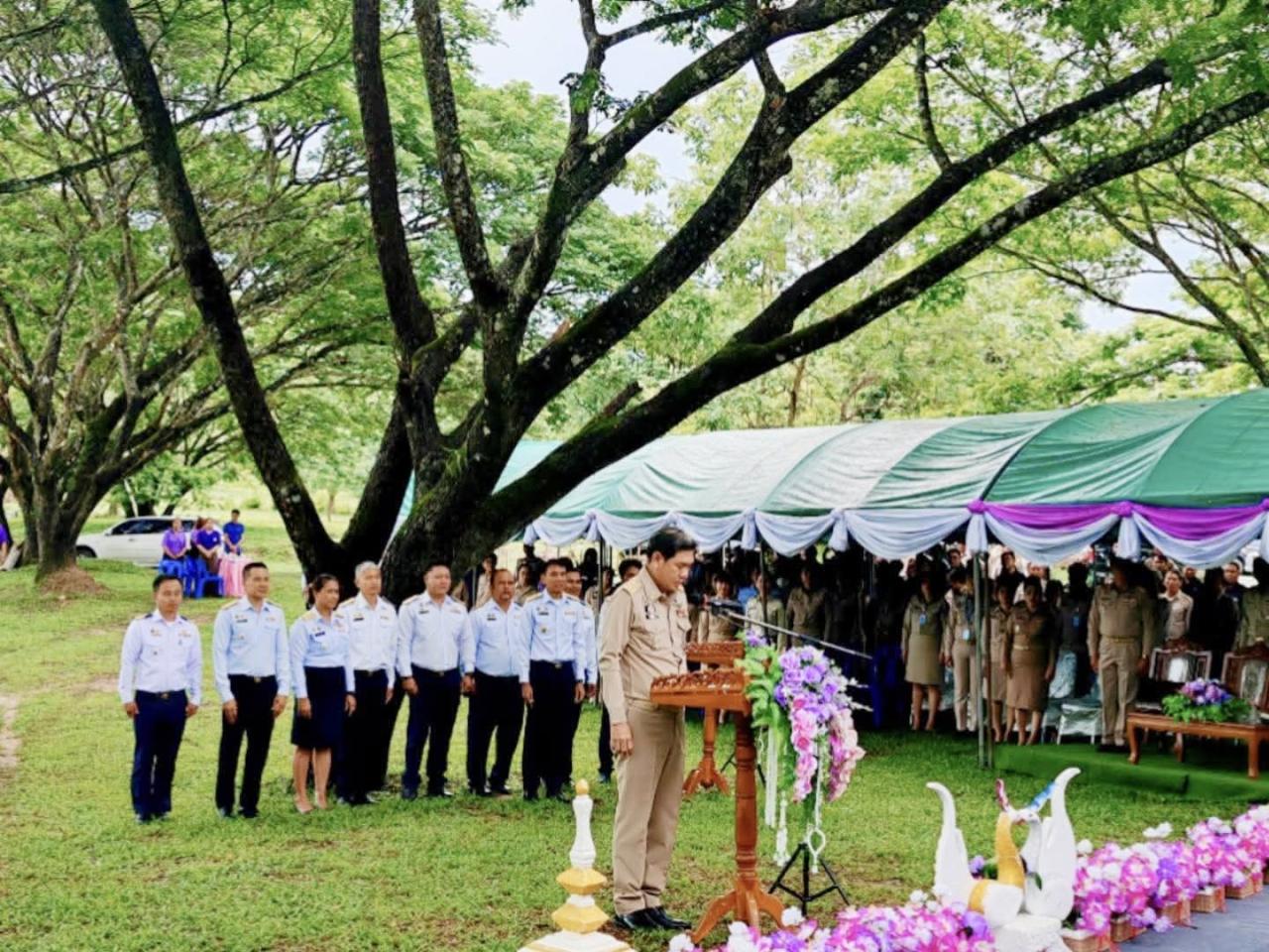 ภาพประกอบที่ 8