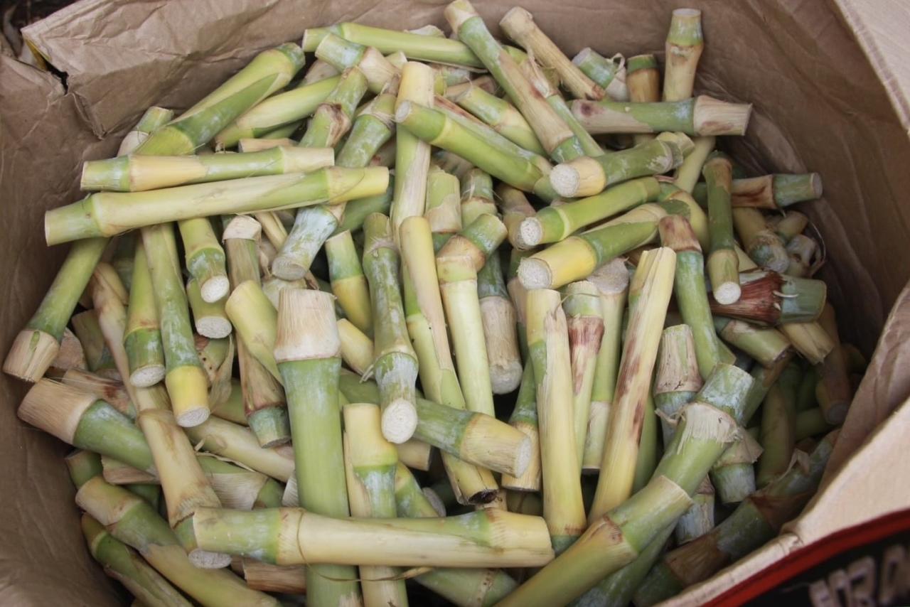 ภาพประกอบที่ 7