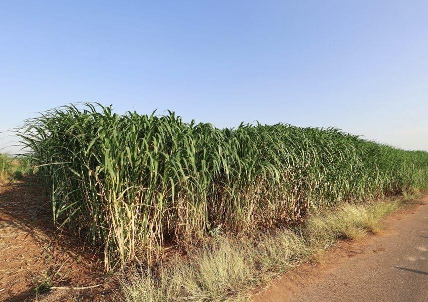 ภาพประกอบที่ 8