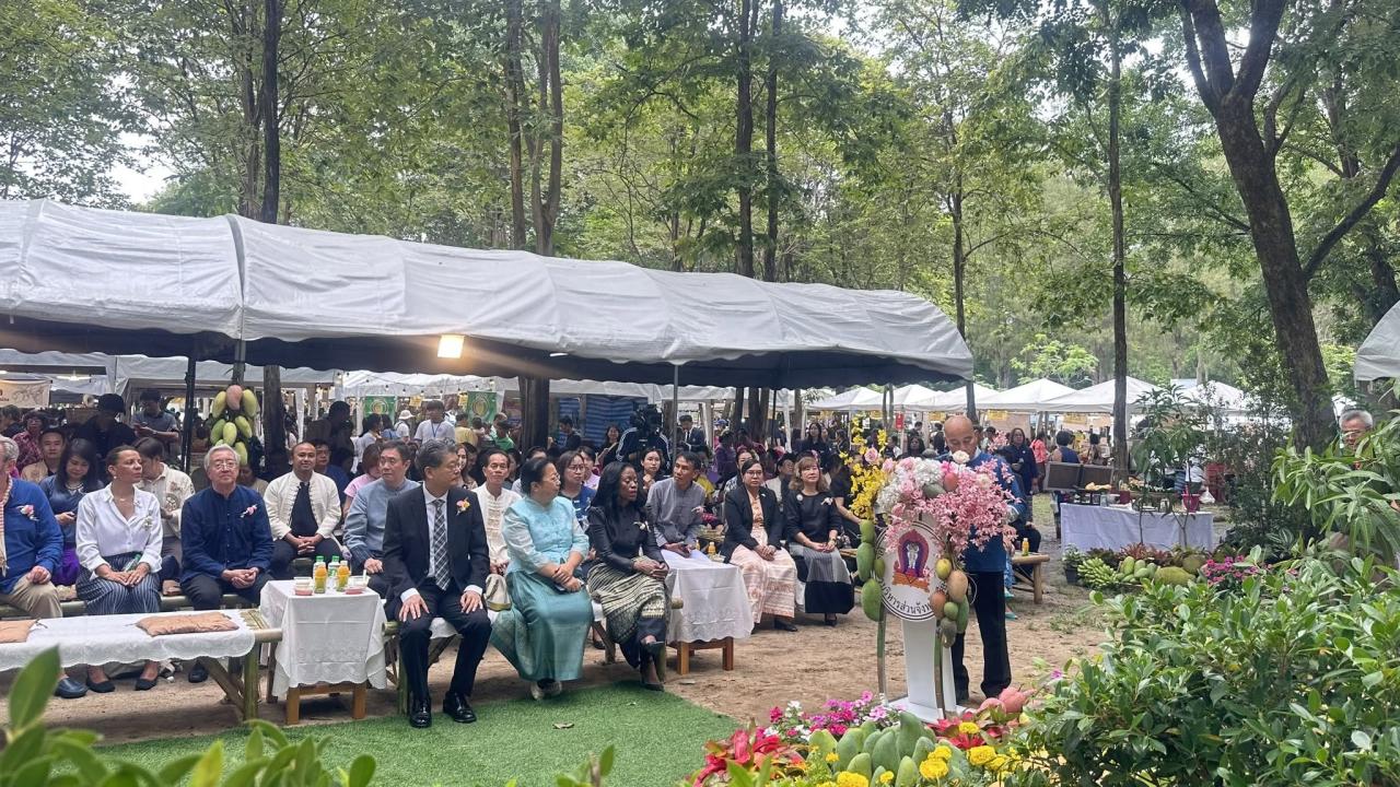 ภาพประกอบที่ 0