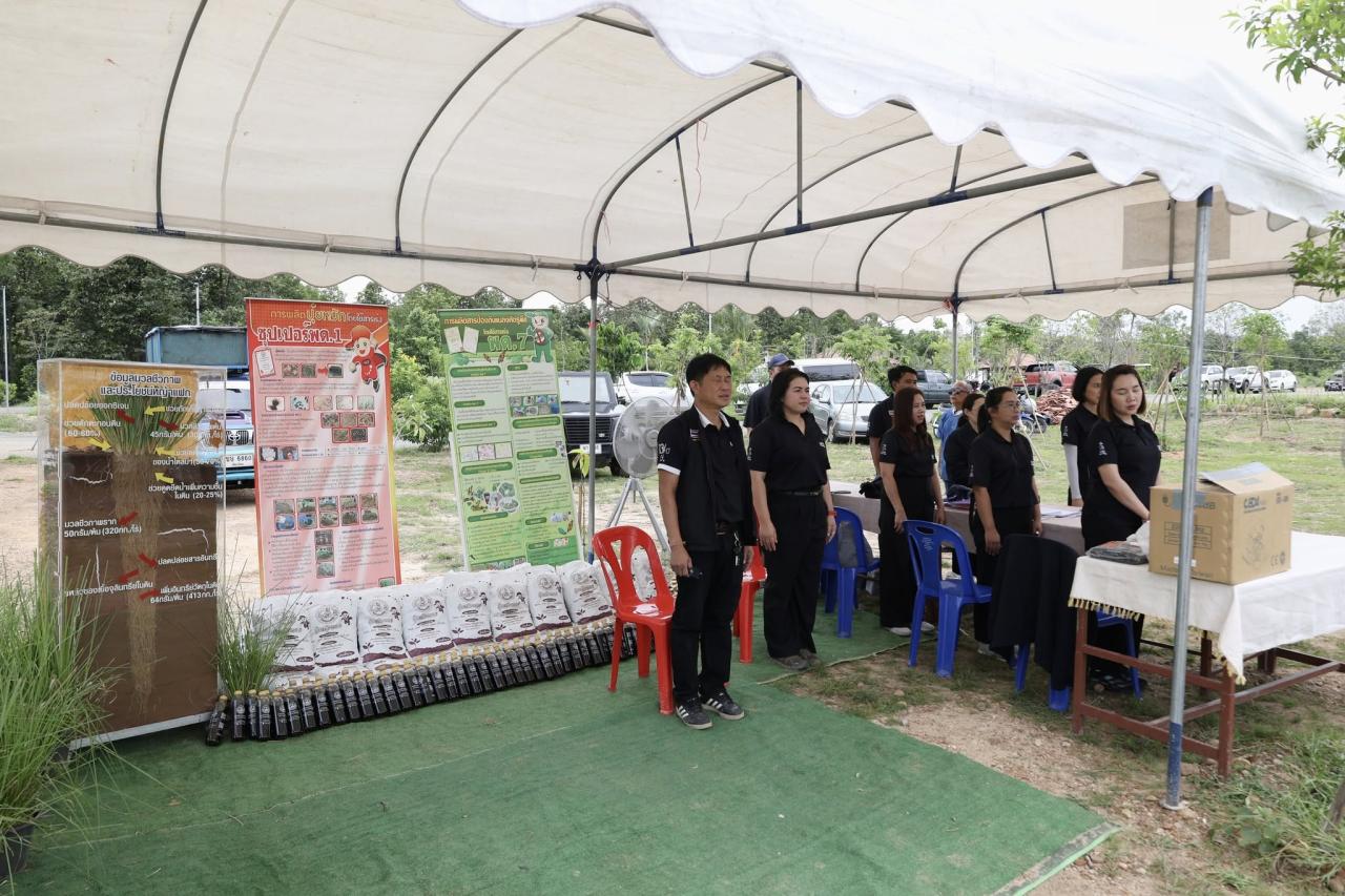 ภาพประกอบที่ 24