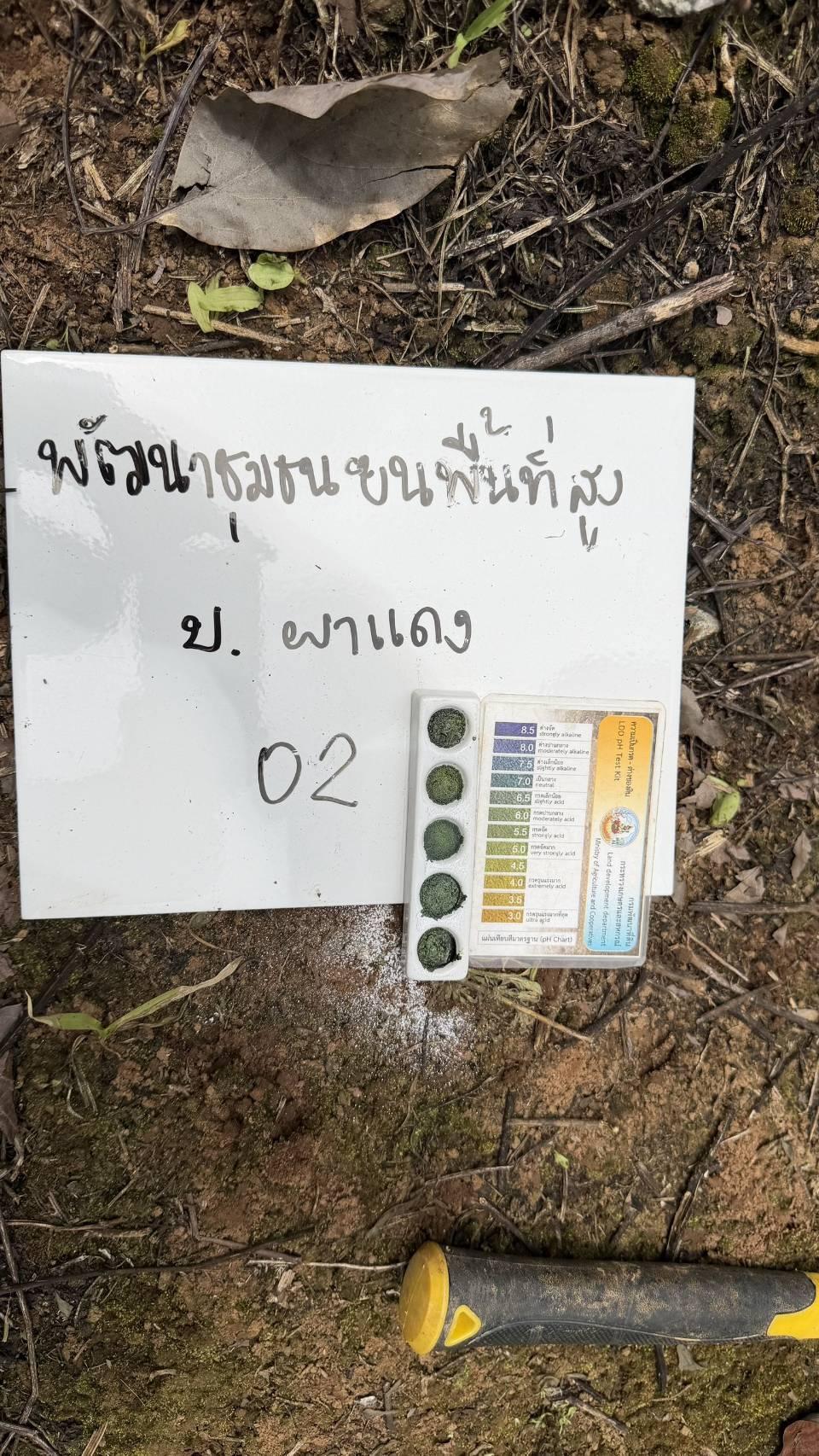 ภาพประกอบที่ 6