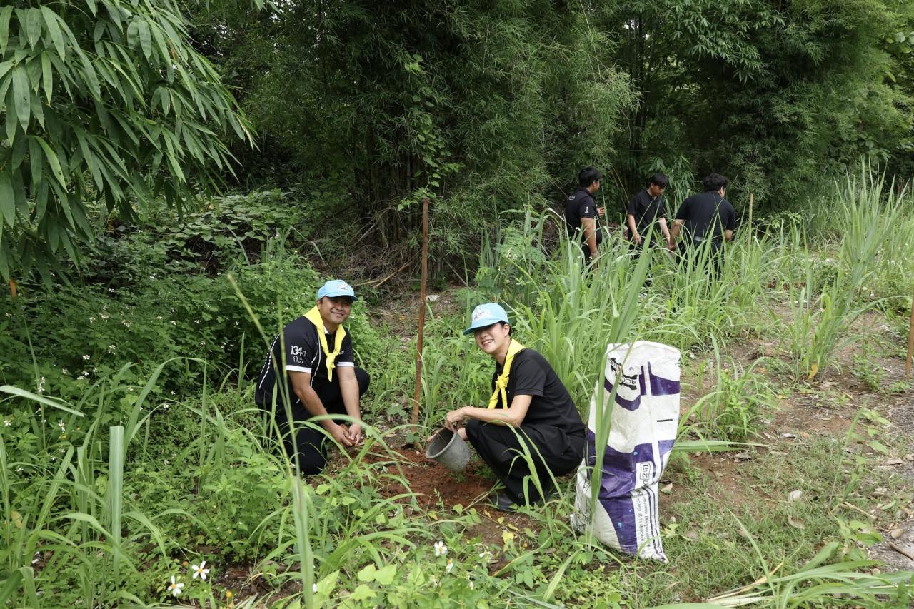 ภาพประกอบที่ 11