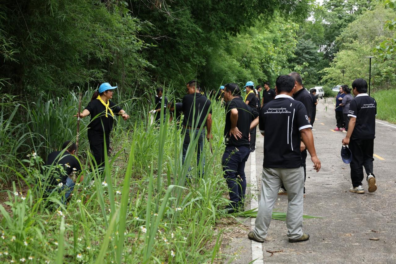 ภาพประกอบที่ 29