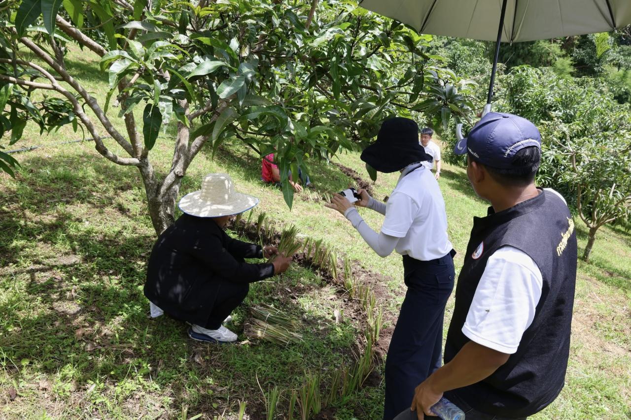 ภาพประกอบที่ 65
