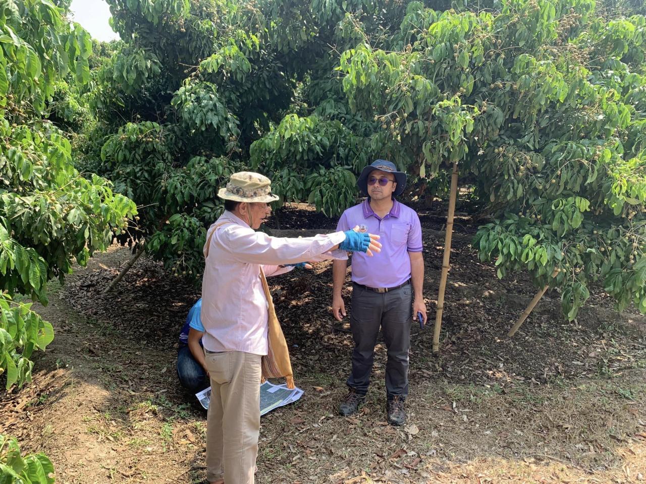 ภาพประกอบที่ 2