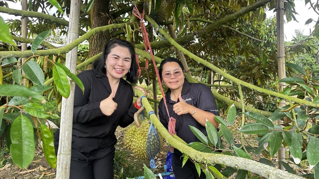 ภาพประกอบที่ 4