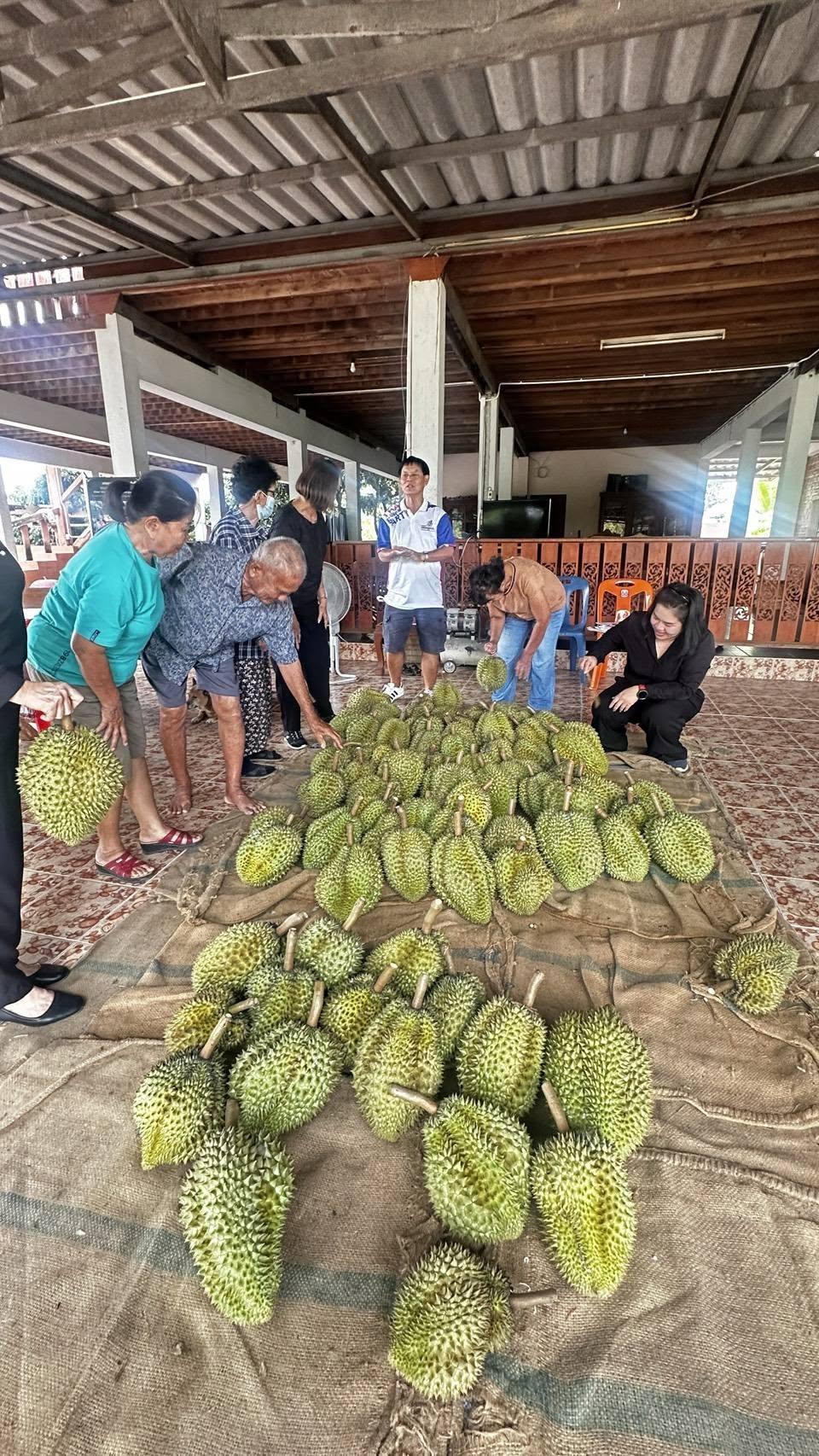 ภาพประกอบที่ 6