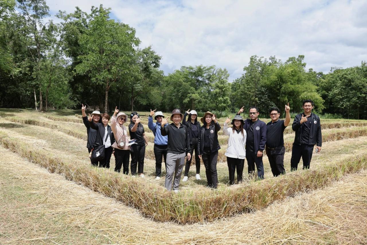 ภาพประกอบที่ 13