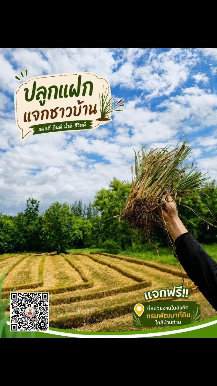 ภาพประกอบที่ 19