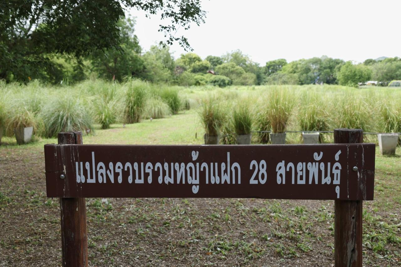ภาพประกอบที่ 28