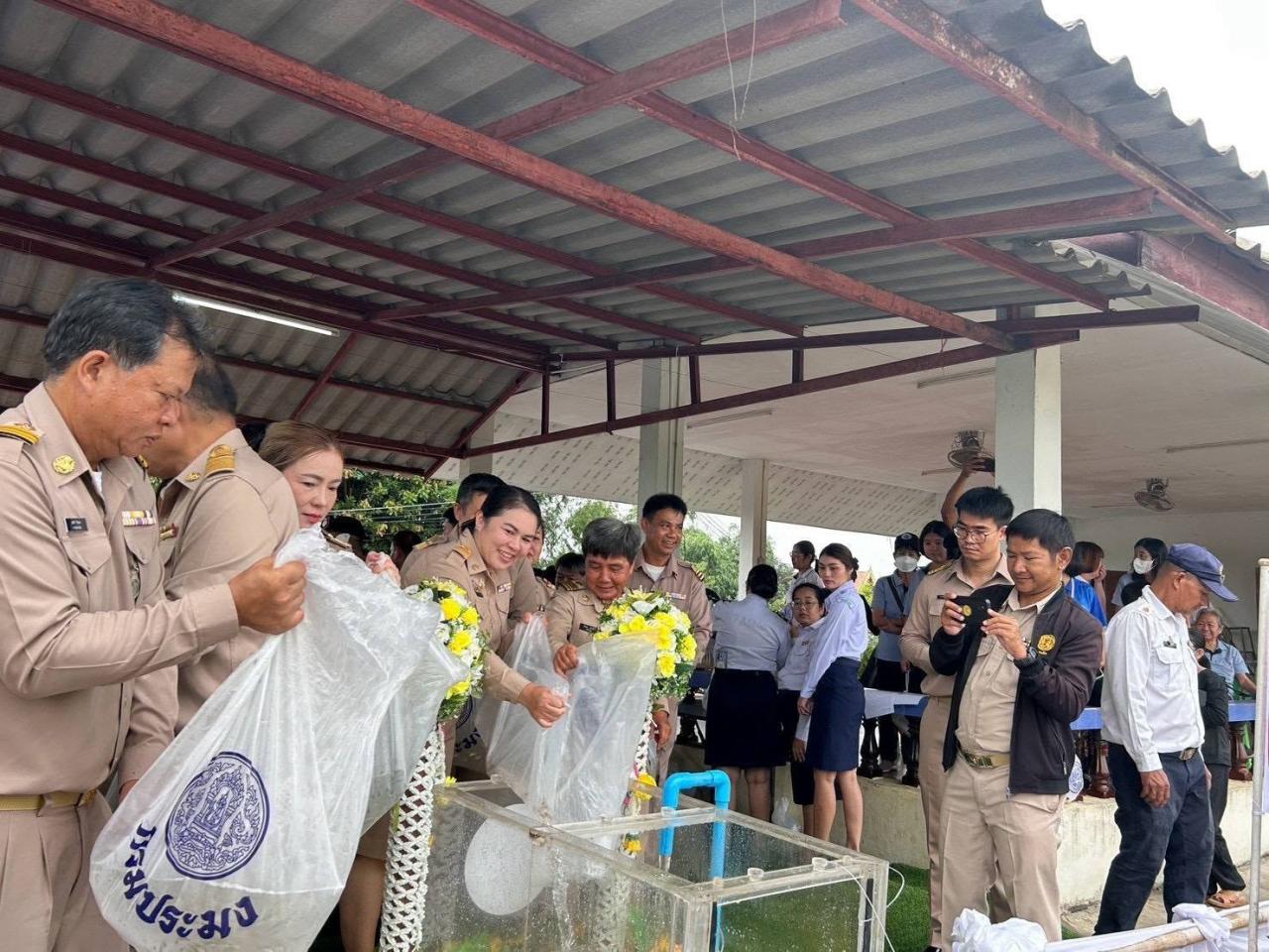 ภาพประกอบที่ 1