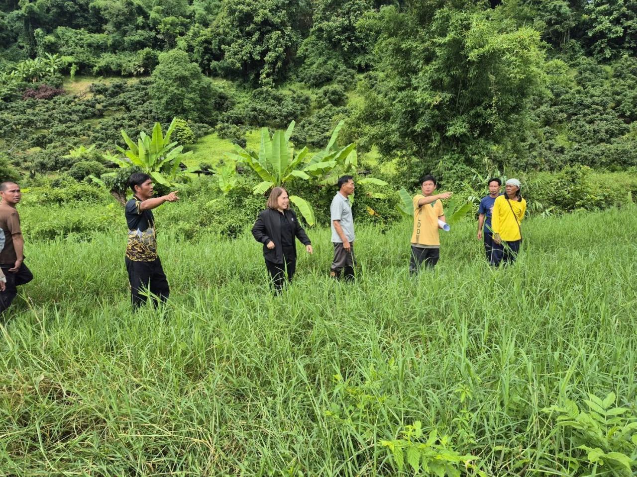 ภาพประกอบที่ 1