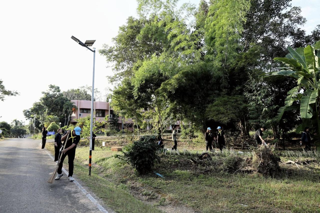 ภาพประกอบที่ 4