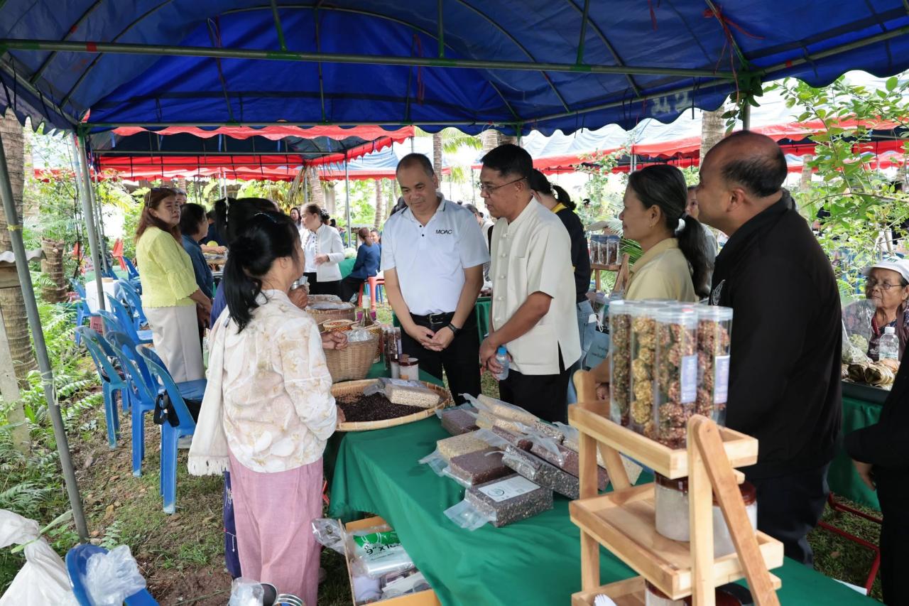 ภาพประกอบที่ 17