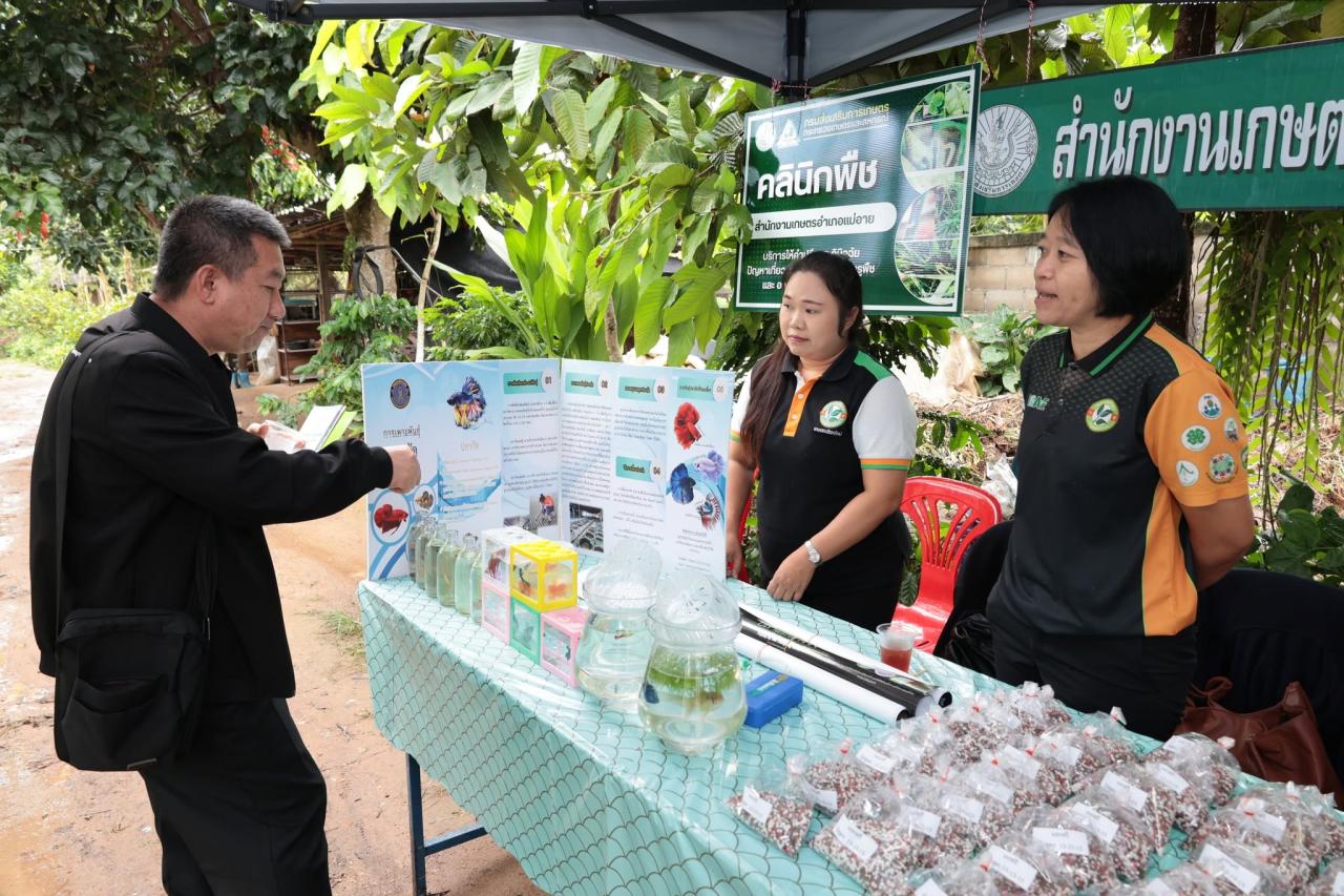 ภาพประกอบที่ 43