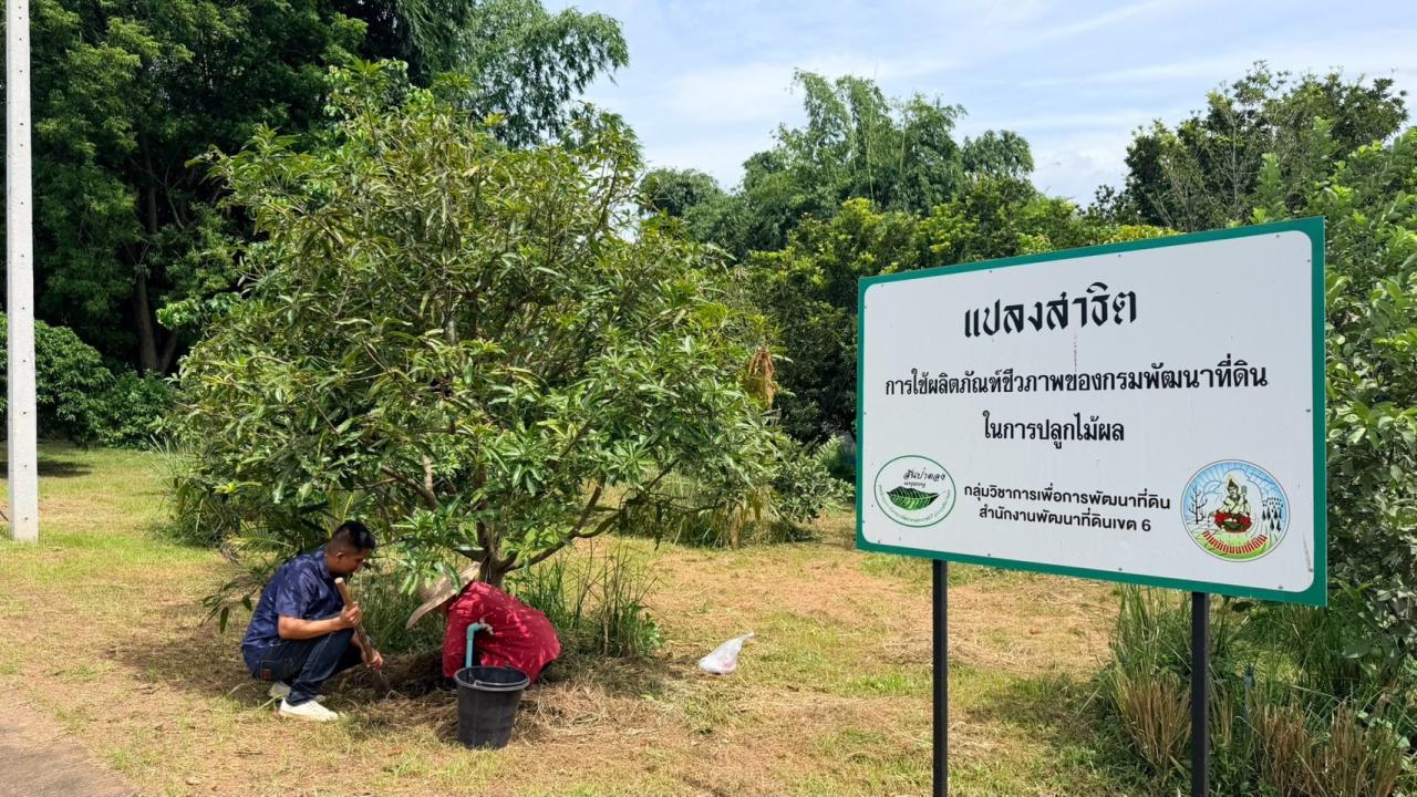 ภาพประกอบที่ 10