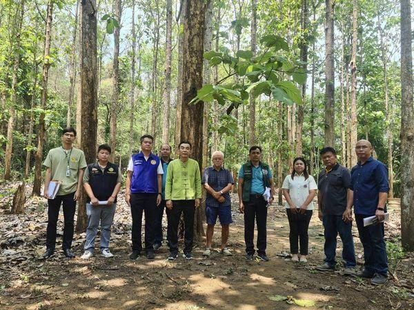 ภาพประกอบที่ 0