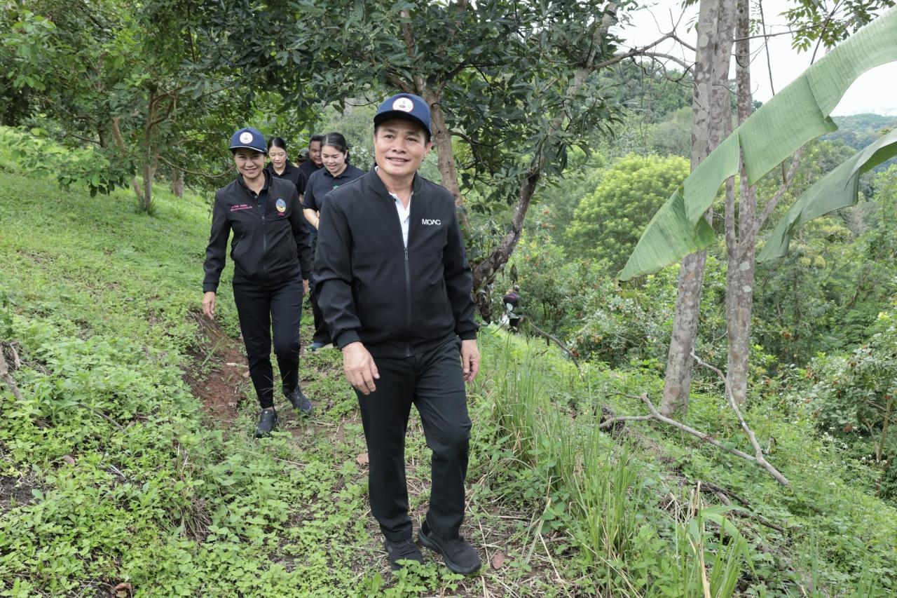 ภาพประกอบที่ 43