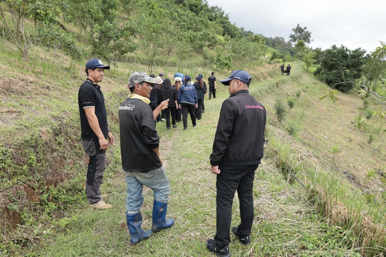 ภาพประกอบที่ 29