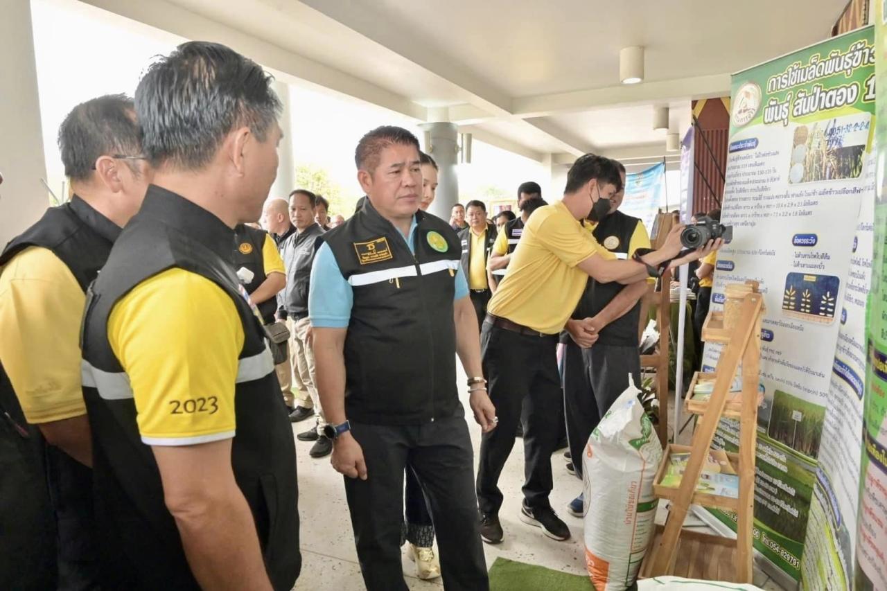 ภาพประกอบที่ 8