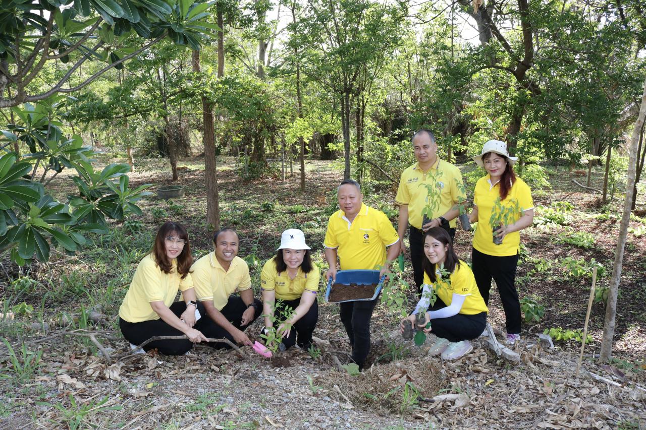 ภาพประกอบที่ 3