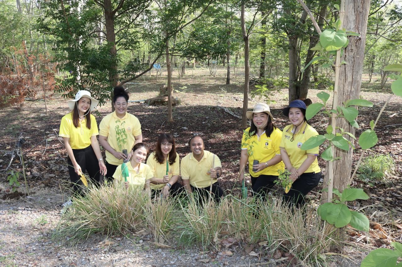 ภาพประกอบที่ 2