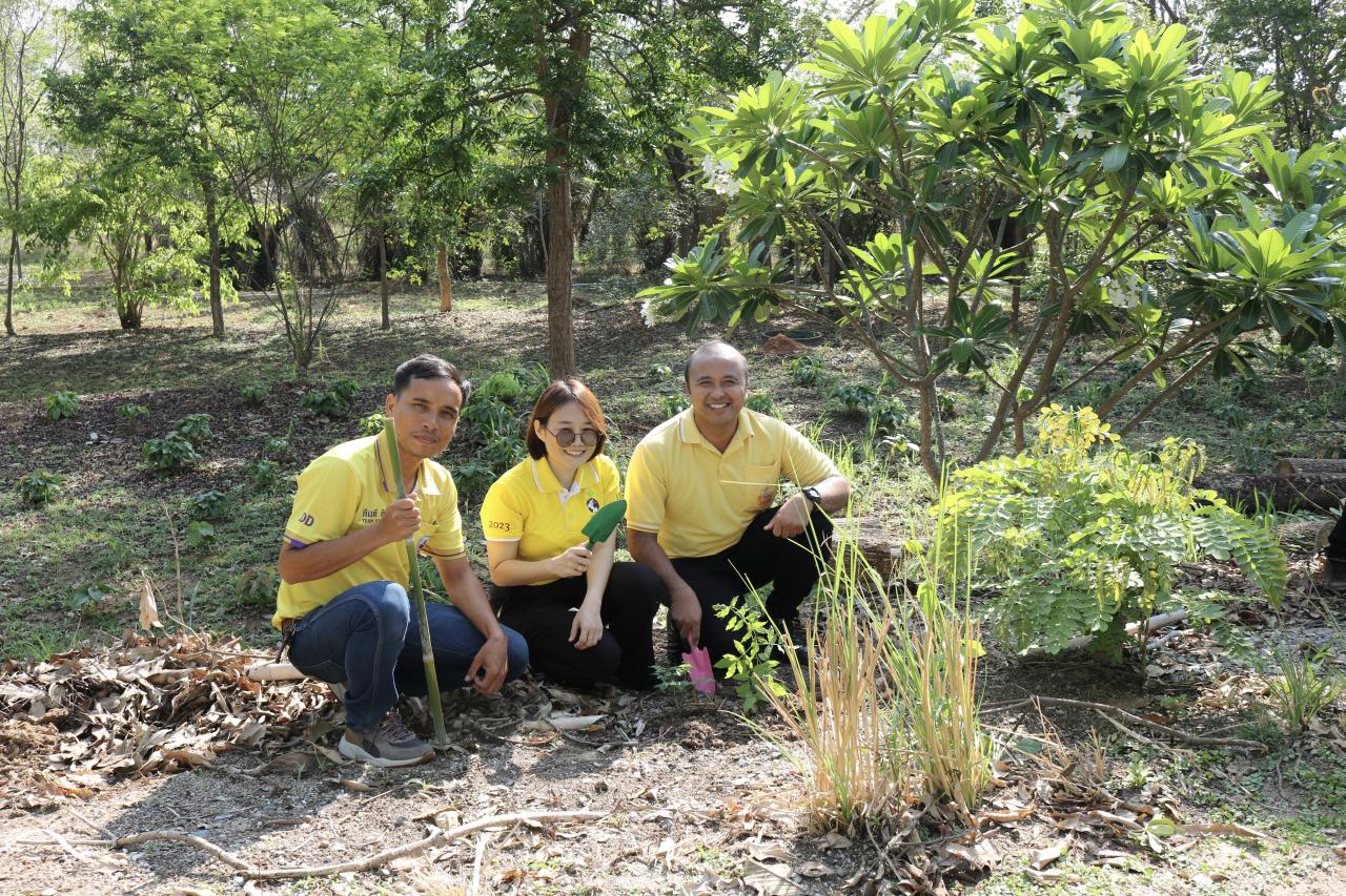 ภาพประกอบที่ 5