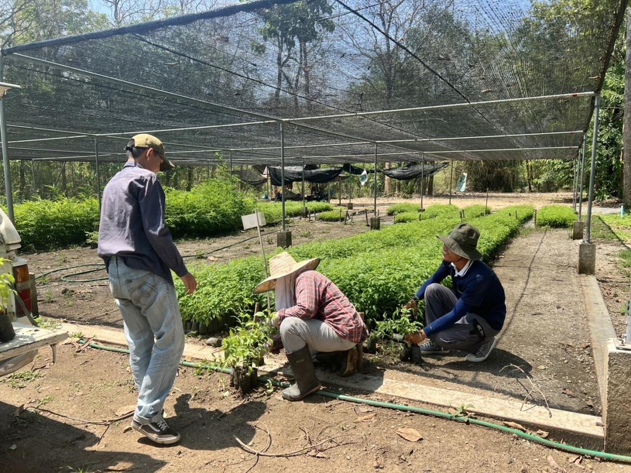 ภาพประกอบที่ 7