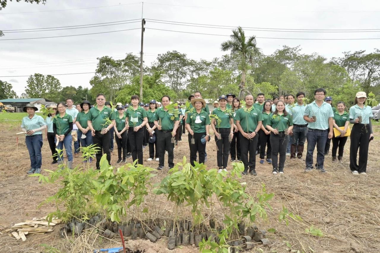 ภาพประกอบที่ 7