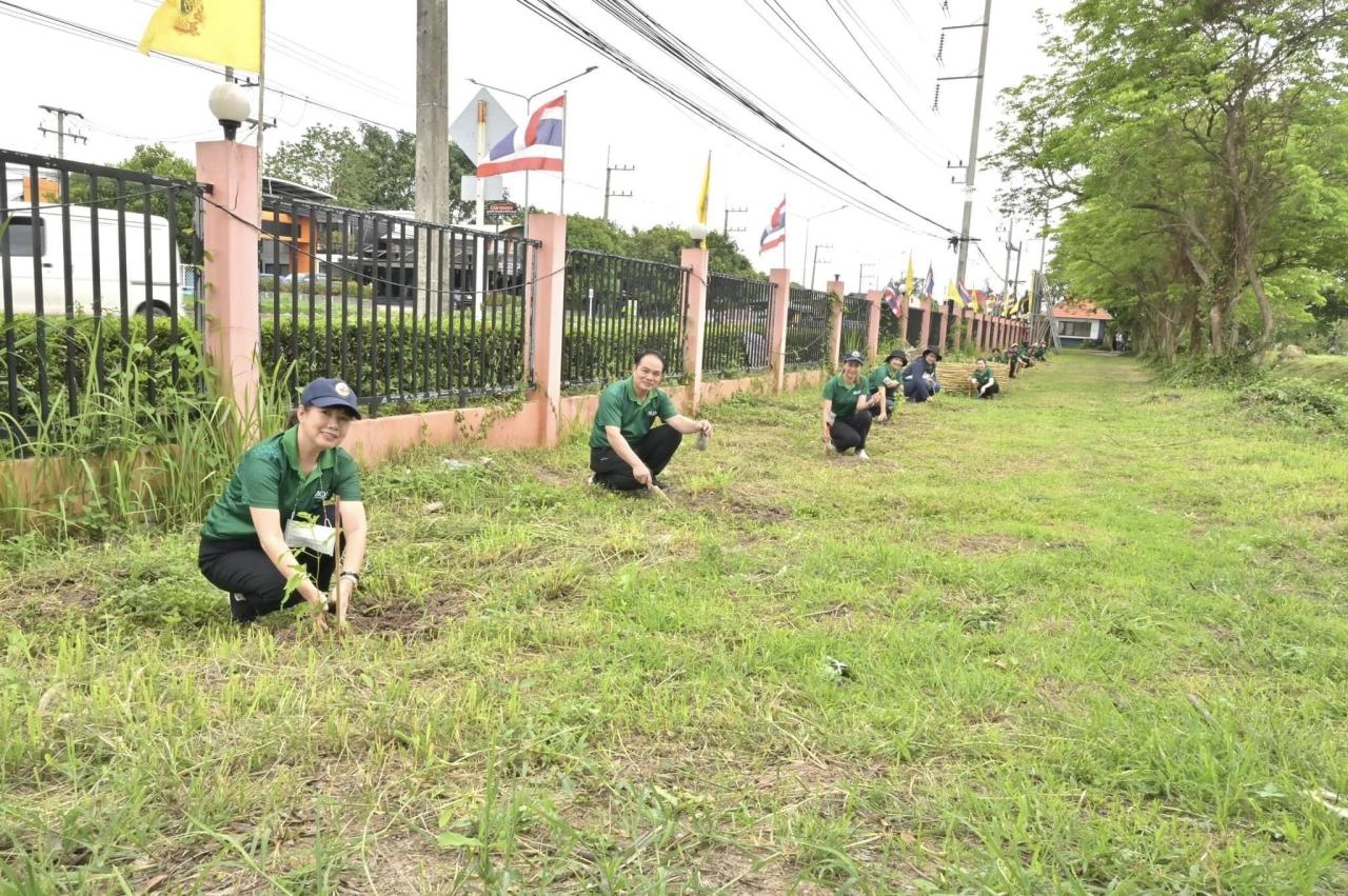 ภาพประกอบที่ 8