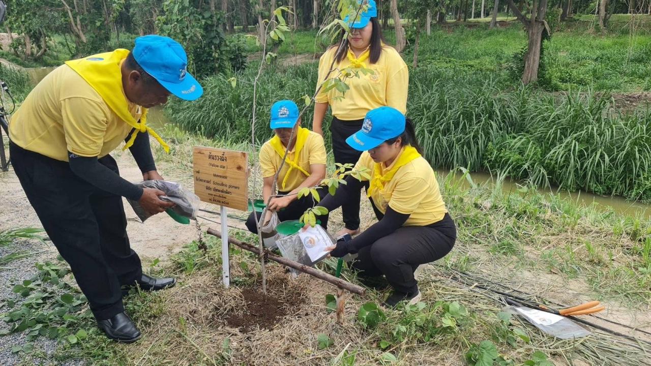 ภาพประกอบที่ 5