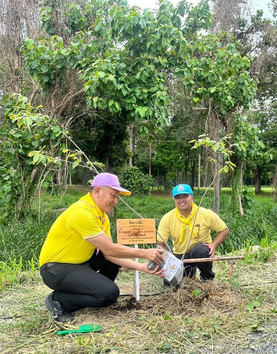ภาพประกอบที่ 8