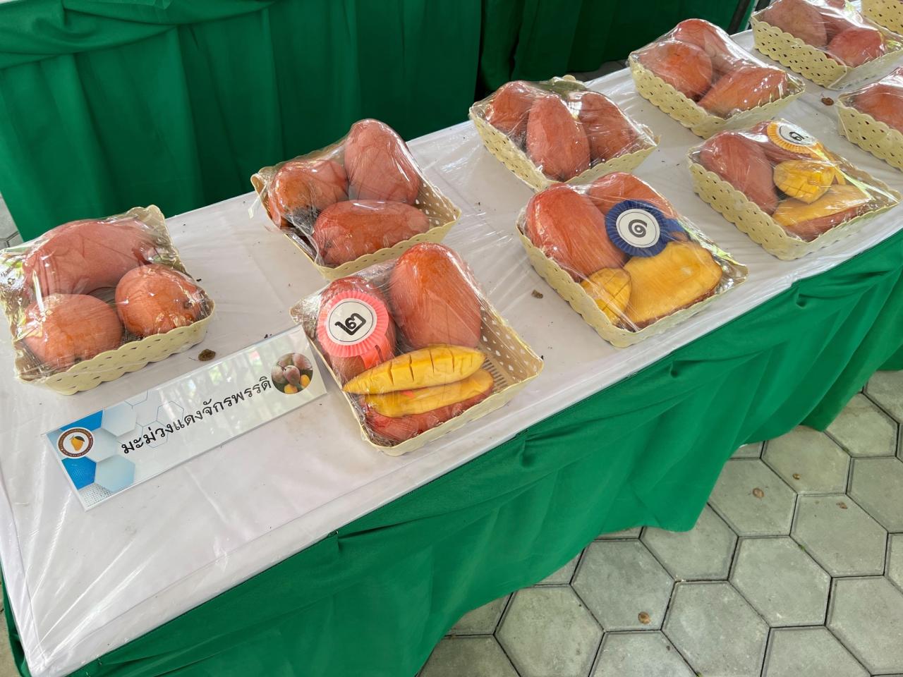 ภาพประกอบที่ 7