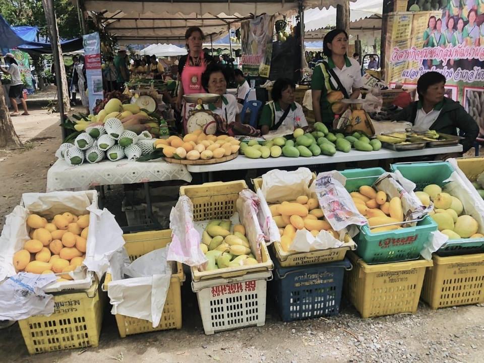 ภาพประกอบที่ 8