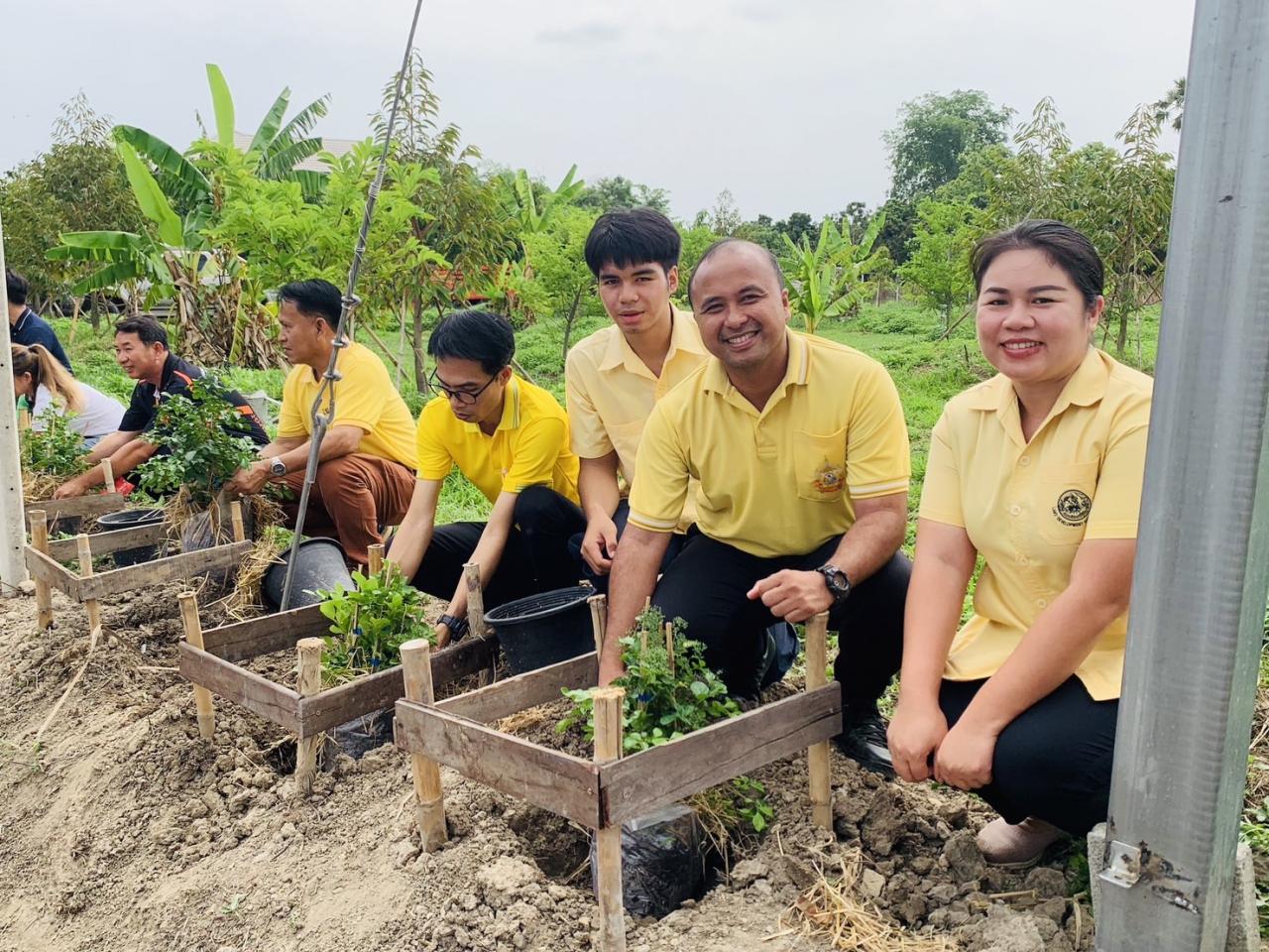 ภาพประกอบที่ 3