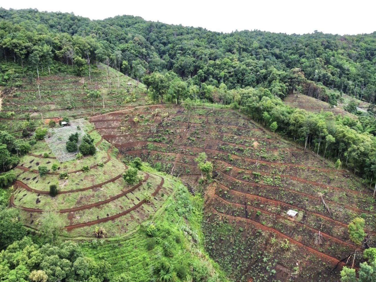 ภาพประกอบที่ 4