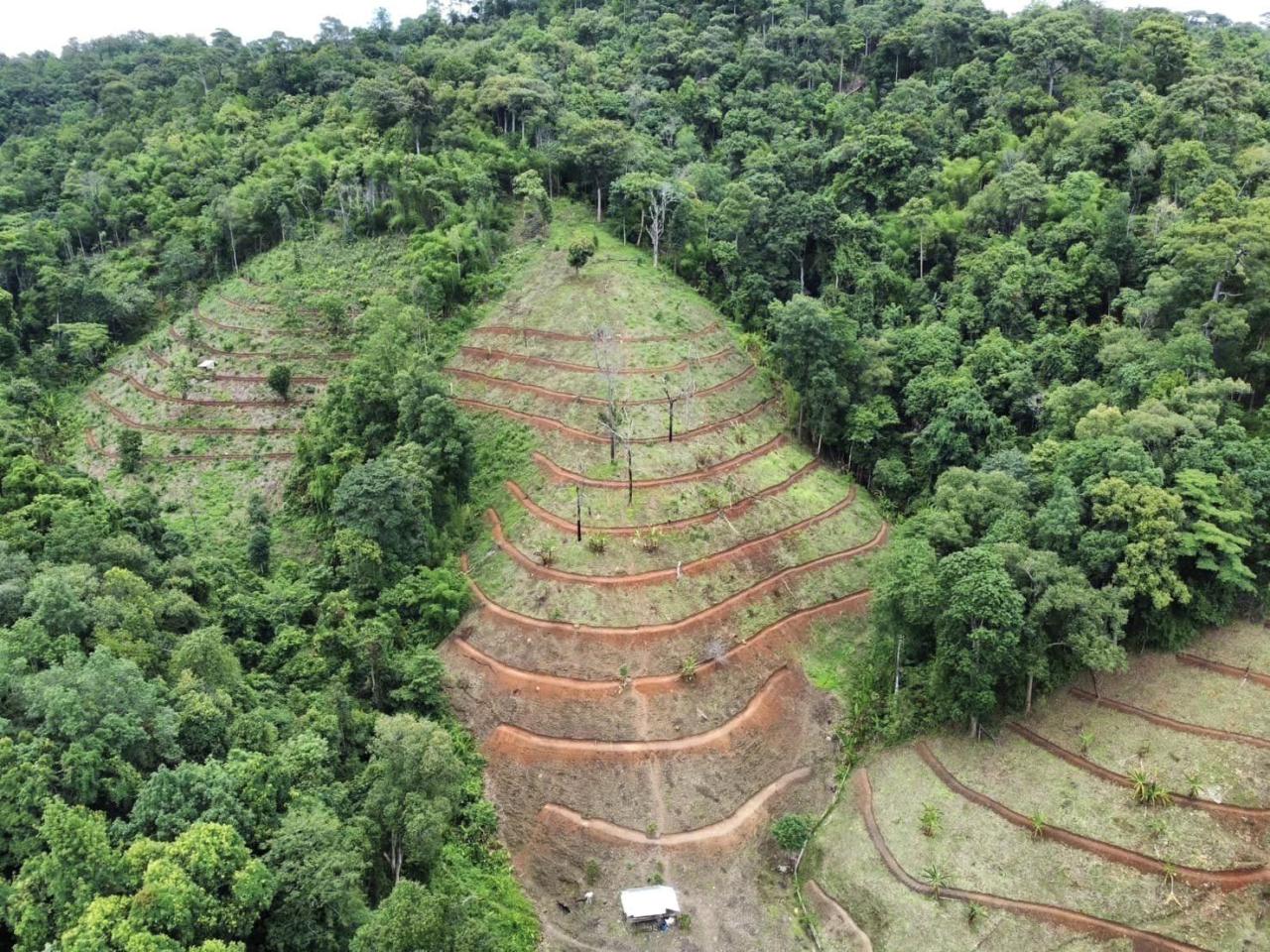 ภาพประกอบที่ 5