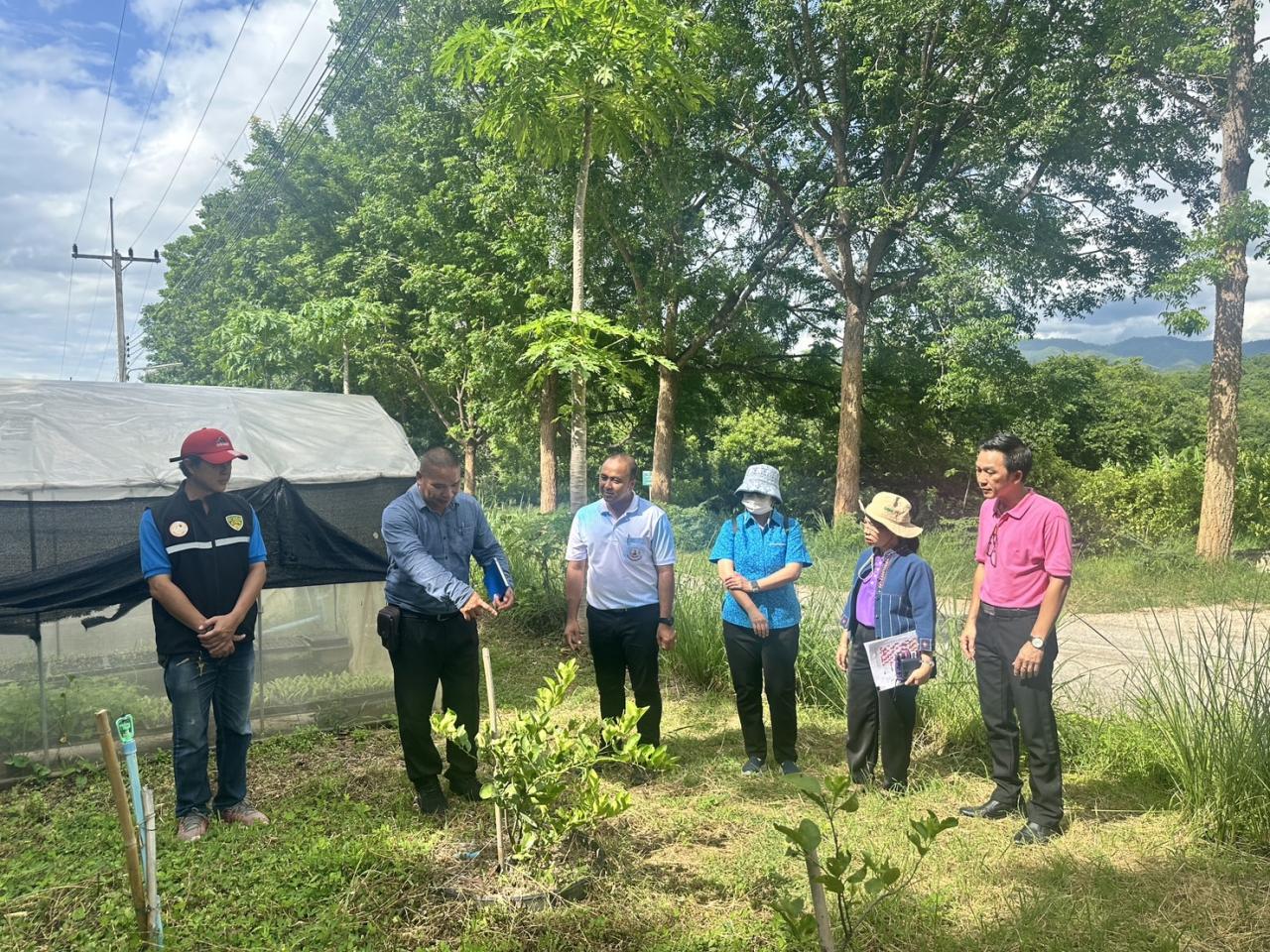 ภาพประกอบที่ 3